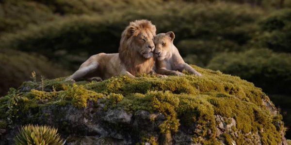 دانلود رایگان شیرشاه 2019 با کیفیت بالا The Lion King 2019