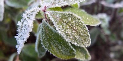 روشهای مقابله با سرما برای کشاورز و باغدار و دامدار