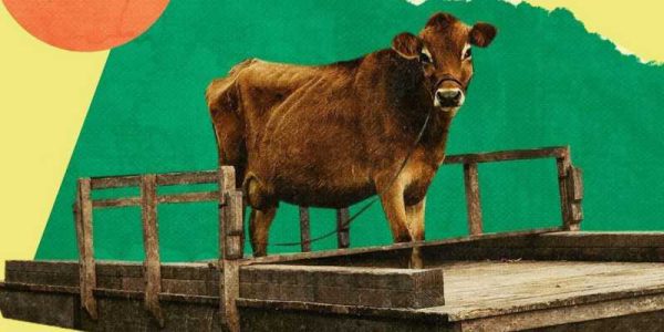 دانلود فیلم سینمایی اولین گاو - (First Cow) با دوبله فارسی و کیفیت عالی