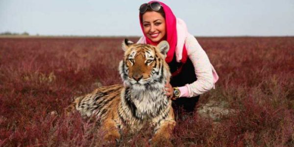 دانلود فیلم سینمایی ایرانی مایا ببر مازندران با کیفیت عالی