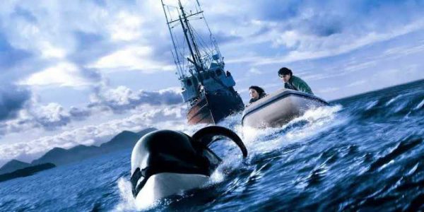 دانلود فیلم سینمایی نهنگ آزاد ۳: نجات - (Free Willy 3: The Rescue) با دوبله فارسی و کیفیت عالی