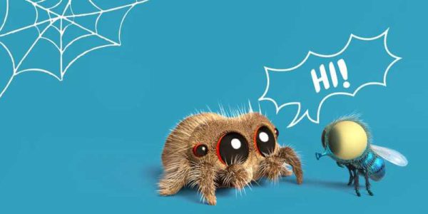 دانلود فیلم سینمایی لوکاس عنکبوت - (Lucas the Spider) با دوبله فارسی و کیفیت عالی