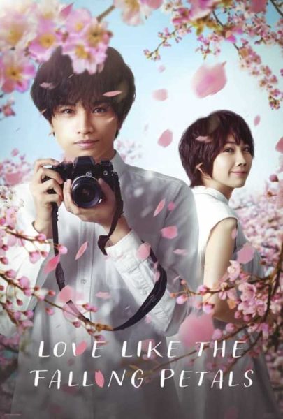 دانلود فیلم سینمایی عشقی مانند سقوط گلبرگ ها با دوبله فارسی